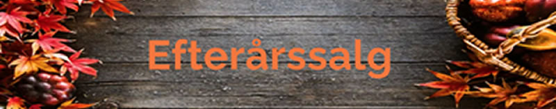 Efterårssalg